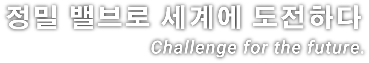 정밀 밸브로 세계에 도전하다 challenge for the future