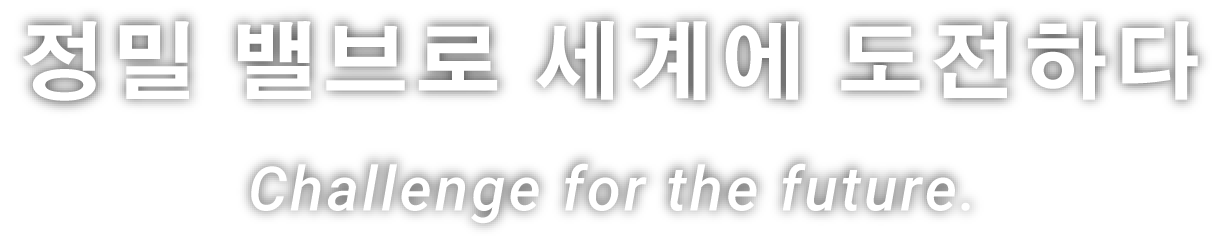 정밀 밸브로 세계에 도전하다